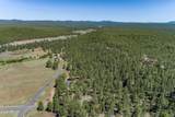 17563 Osprey Circle - Photo 12
