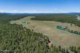 17563 Osprey Circle - Photo 14