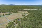 17563 Osprey Circle - Photo 15