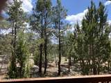 7137 Mogollon Trail - Photo 6