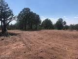 Lot 20 Mountain Pine Road - Photo 11