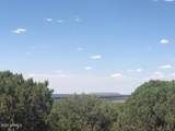 Lot 20 Mountain Pine Road - Photo 12