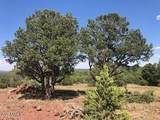 Lot 20 Mountain Pine Road - Photo 13