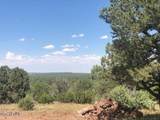Lot 20 Mountain Pine Road - Photo 14