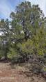 Lot 20 Mountain Pine Road - Photo 16