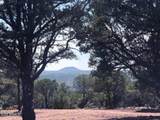 Lot 20 Mountain Pine Road - Photo 2