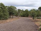 Lot 20 Mountain Pine Road - Photo 3