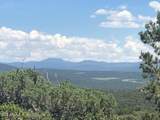 Lot 20 Mountain Pine Road - Photo 9
