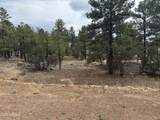 40 Timber Ridge Loop - Photo 10