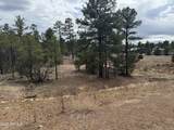 40 Timber Ridge Loop - Photo 11