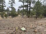 40 Timber Ridge Loop - Photo 12