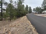 40 Timber Ridge Loop - Photo 13