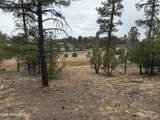 40 Timber Ridge Loop - Photo 14