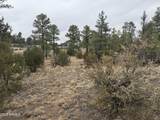 40 Timber Ridge Loop - Photo 15