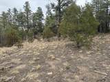40 Timber Ridge Loop - Photo 16