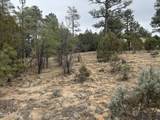 40 Timber Ridge Loop - Photo 18