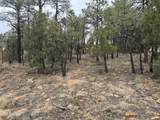 40 Timber Ridge Loop - Photo 19