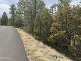 40 Timber Ridge Loop - Photo 2