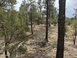 40 Timber Ridge Loop - Photo 20