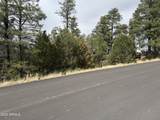 40 Timber Ridge Loop - Photo 3