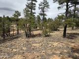 40 Timber Ridge Loop - Photo 7