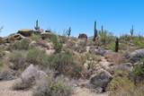 11451 Christmas Cholla Drive - Photo 25