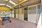 786 Broncos Trail - Photo 122