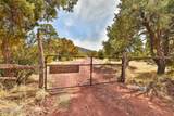 786 Broncos Trail - Photo 2