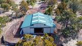 786 Broncos Trail - Photo 98