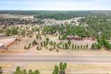 2274 Overgaard Springs Loop - Photo 43