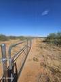 TBD 7.27 Ac's Three Canyons Road - Photo 4