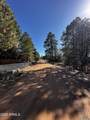 3331 Rim Lakes Drive - Photo 32