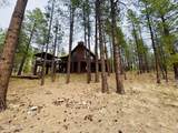 3110 Apache Drive - Photo 4