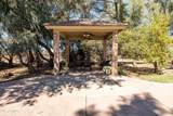 25509 Lime Drive - Photo 31