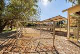 25509 Lime Drive - Photo 48