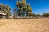 25509 Lime Drive - Photo 51