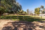 25509 Lime Drive - Photo 54