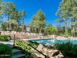 1102 Wood Spur Circle - Photo 36