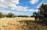 6251 Dry Pasture Run Lot 216 - Photo 3