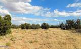 6251 Dry Pasture Run Lot 216 - Photo 4