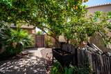 288 Baylor Lane - Photo 35