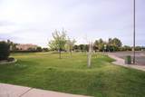 3306 Jaeger Circle - Photo 105