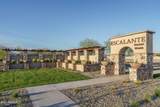 15911 Montana De Oro Drive - Photo 49