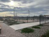 15911 Montana De Oro Drive - Photo 77