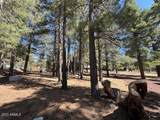207 Blue Ridge Road - Photo 7