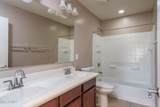 10822 Saddlehorn Road - Photo 31