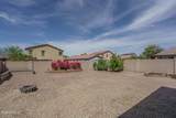 10822 Saddlehorn Road - Photo 33