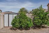 10822 Saddlehorn Road - Photo 35