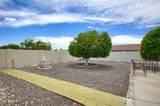 10321 Floriade Drive - Photo 43