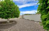 10321 Floriade Drive - Photo 44